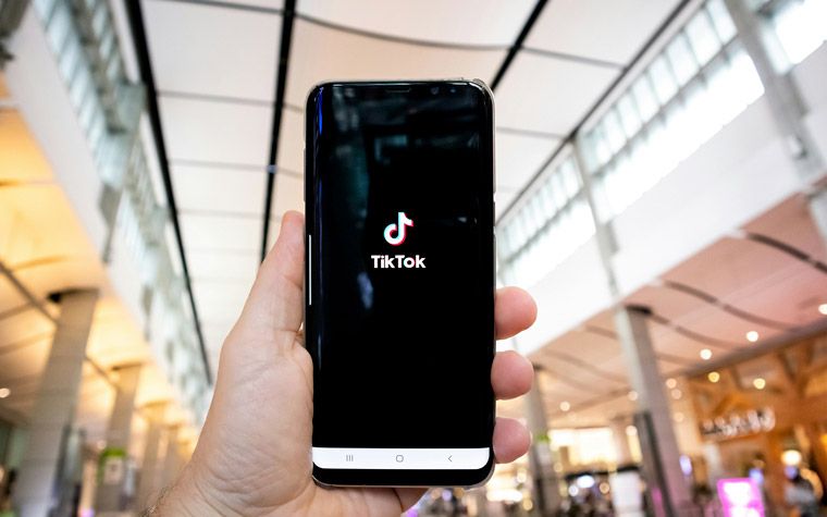 TikTok Categories Grabbing the Most View
